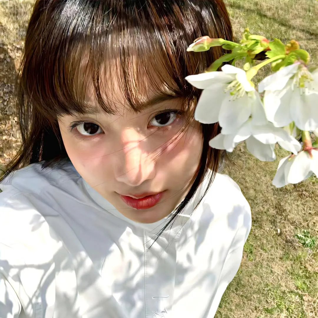 龙棺古墓：西夏狼王